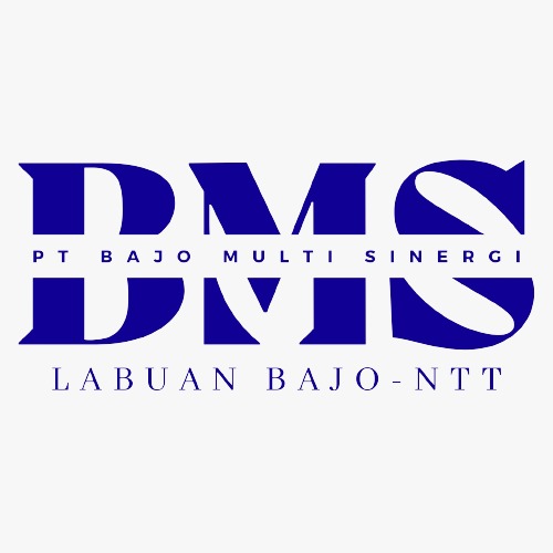 logo bms